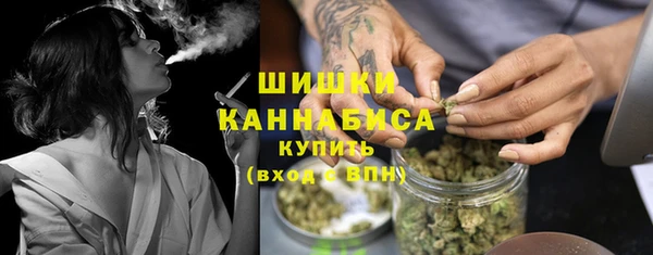 спайс Гусев