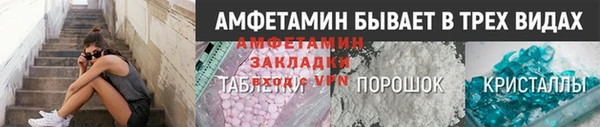 PSILOCYBIN Горняк