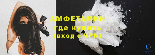 PSILOCYBIN Горняк