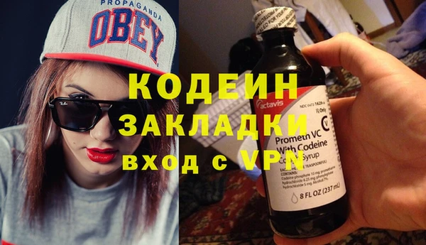 ПСИЛОЦИБИНОВЫЕ ГРИБЫ Каменка