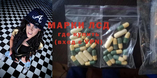 спайс Гусев