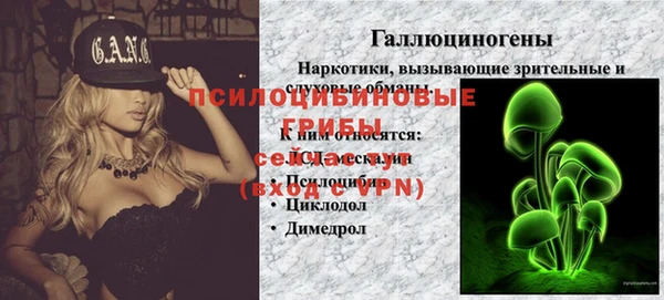 спайс Гусев
