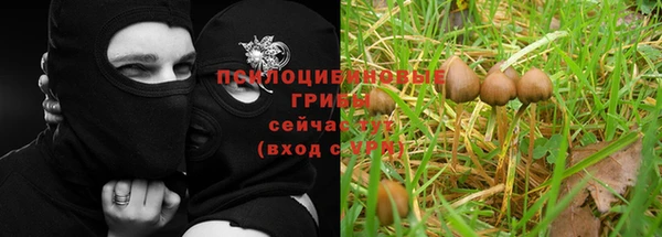 круглые Дмитровск