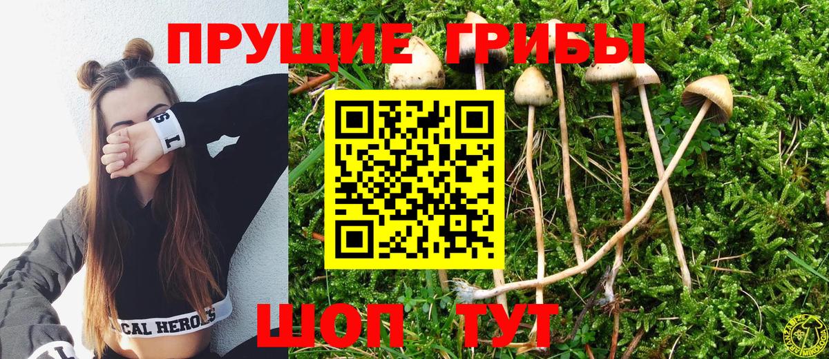 наркошоп  Псилоцибиновые грибы Psilocybine cubensis  Вход с VPN  Геленджик 