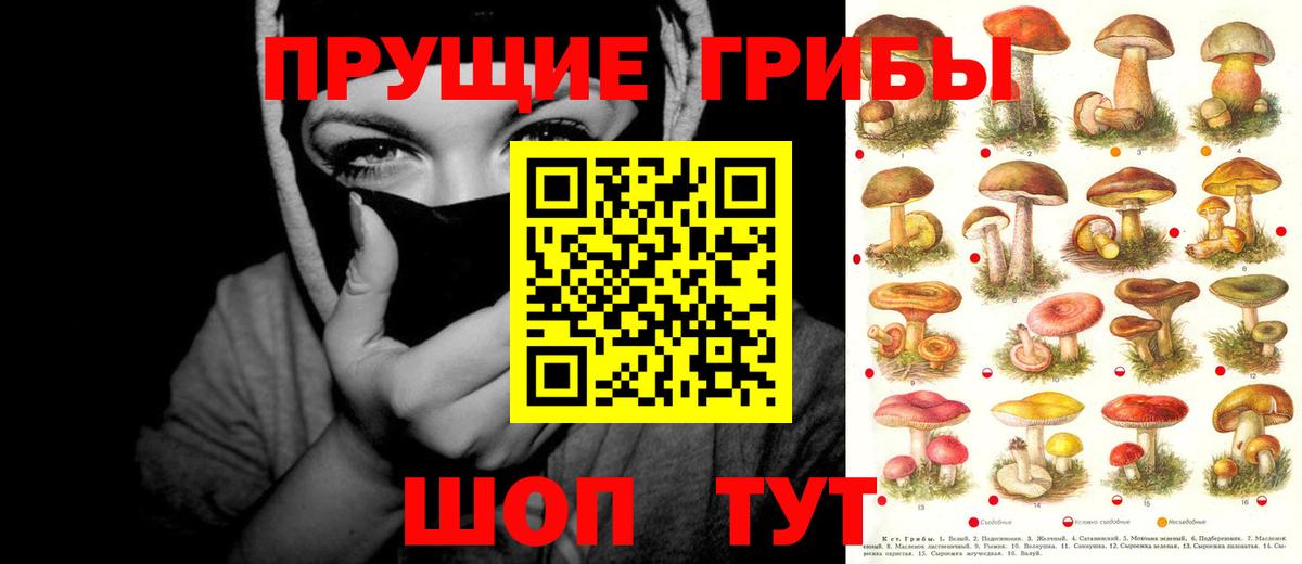 Псилоцибиновые грибы ЛСД Геленджик